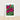 559796bc-ff0a-49aa-8f60-ff066ba1aec4